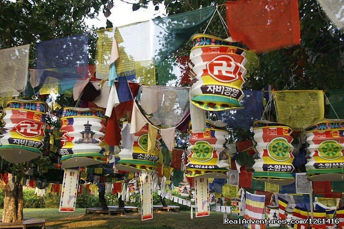 A mixture of Tibetan prayer flags and Korean lanterns near t | Visit Lumbini Birth Place of Lord Buddha | Image #5/8 | 