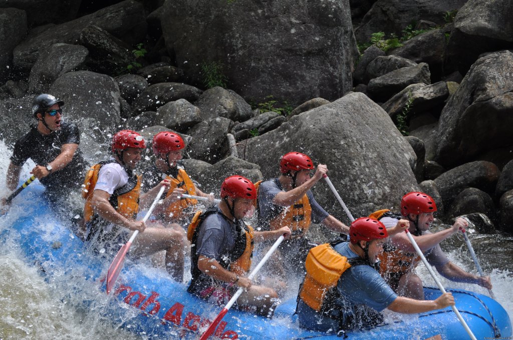 Trips Run from Mild to WILD | Rafting and Kayaking in Massachusetts Berkshires | Image #3/4 | 