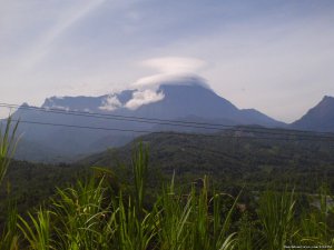 Mount Kinabalu Holiday Home | Sabah, Malaysia | Bed & Breakfasts
