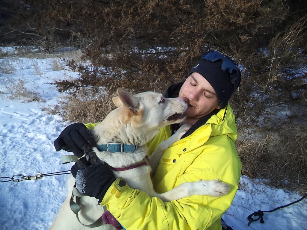 Angel & Shawn | Dogsledding in the Twin Cities Metro Area | Image #6/11 | 