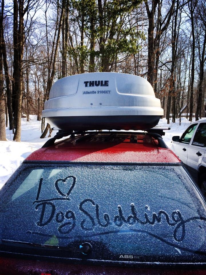 I Love Dogsledding | Dogsledding in the Twin Cities Metro Area | Image #8/11 | 