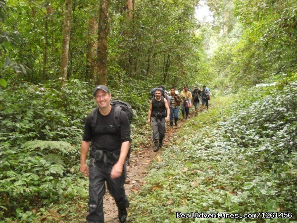Rainforest Hiking | Namdapha National Park Rainforest Tour And Trek | Image #5/11 | 
