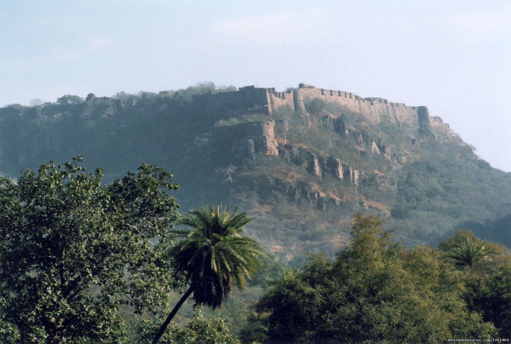 Fort In The Middle Of The Jungle | Tiger Safaris | Image #3/21 | 