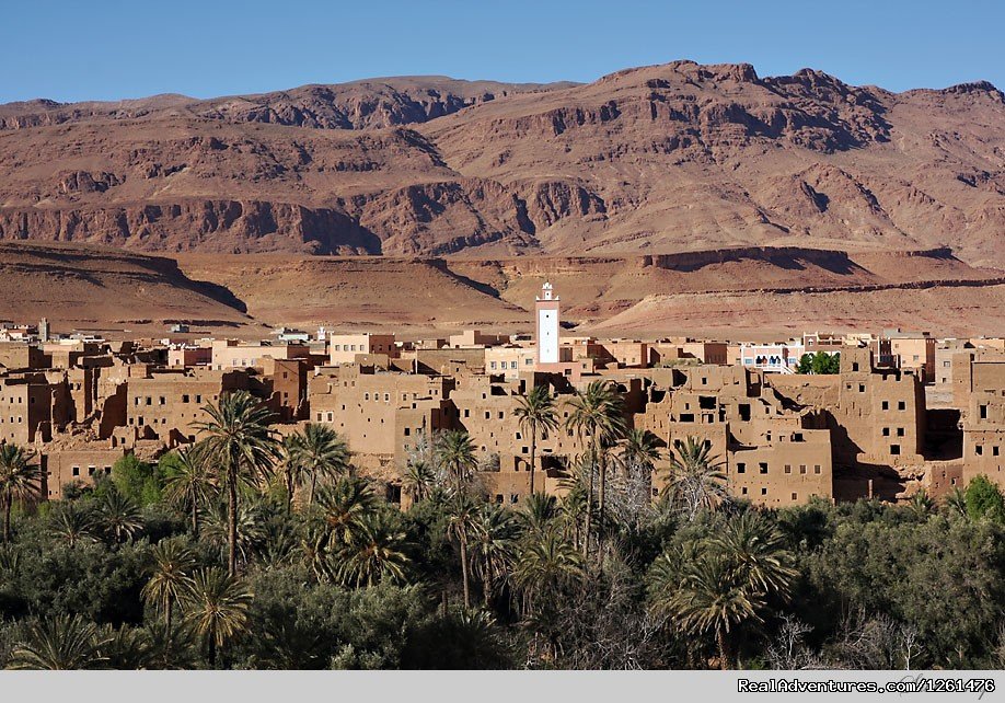 Tinghir | Camel Safaries Morocco | Image #8/11 | 