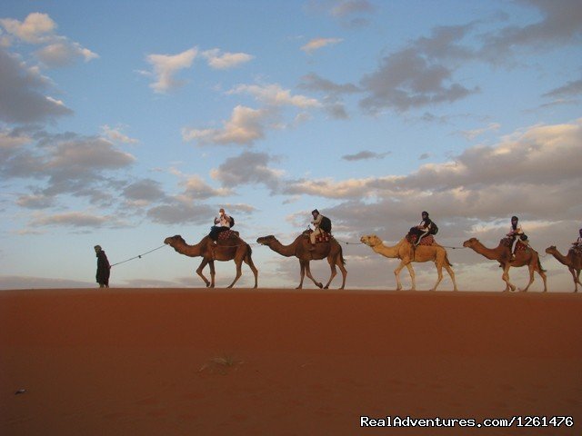 Camel Safari Trek | Camel Safaries Morocco | Image #10/11 | 