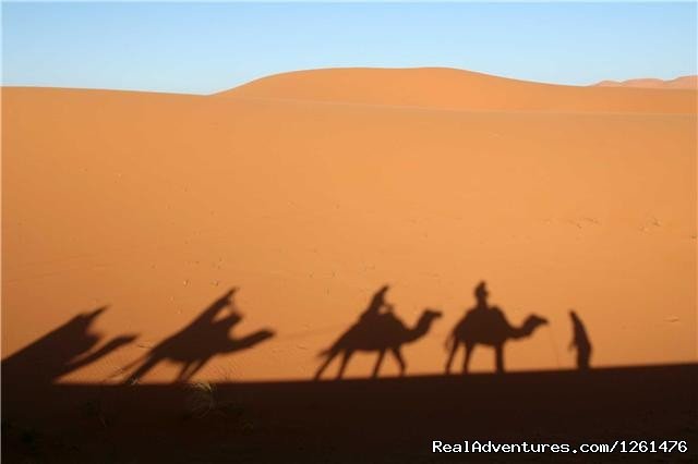 Magic Morocco | Camel Safaries Morocco | Image #11/11 | 