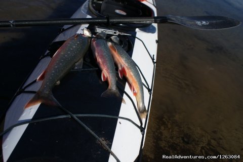 Kayaking in Lapland