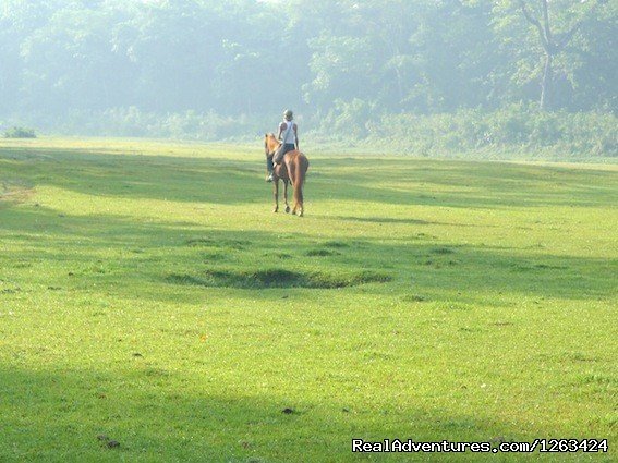 Kumroj Trail | Horseback Riding  yoga and reiki in Nepal | Meghauli, Nepal | Horseback Riding & Dude Ranches | Image #1/13 | 