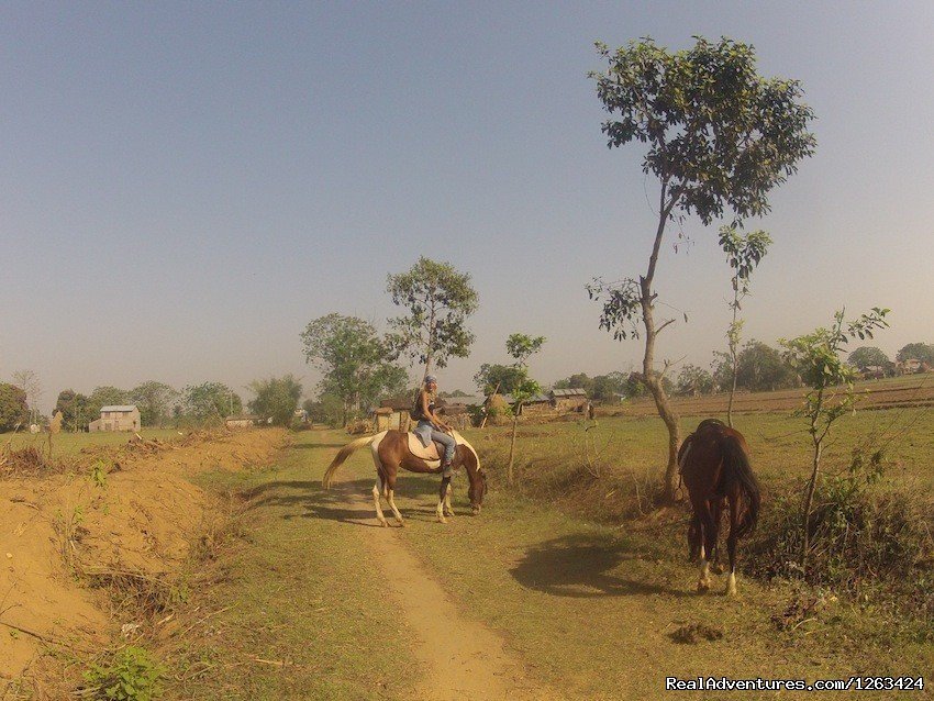 Going To Ghat Gai | Horseback Riding  yoga and reiki in Nepal | Image #10/13 | 