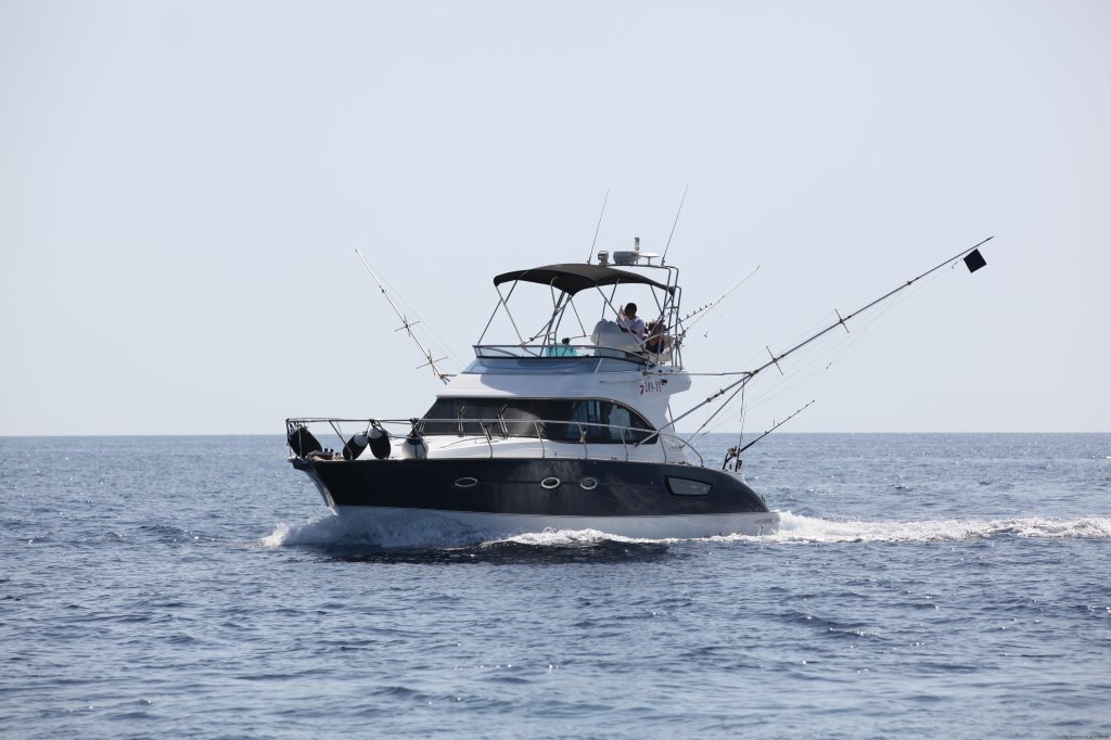 Catch Tunas and Swordfish in the Adriatic Sea | Image #6/23 | 