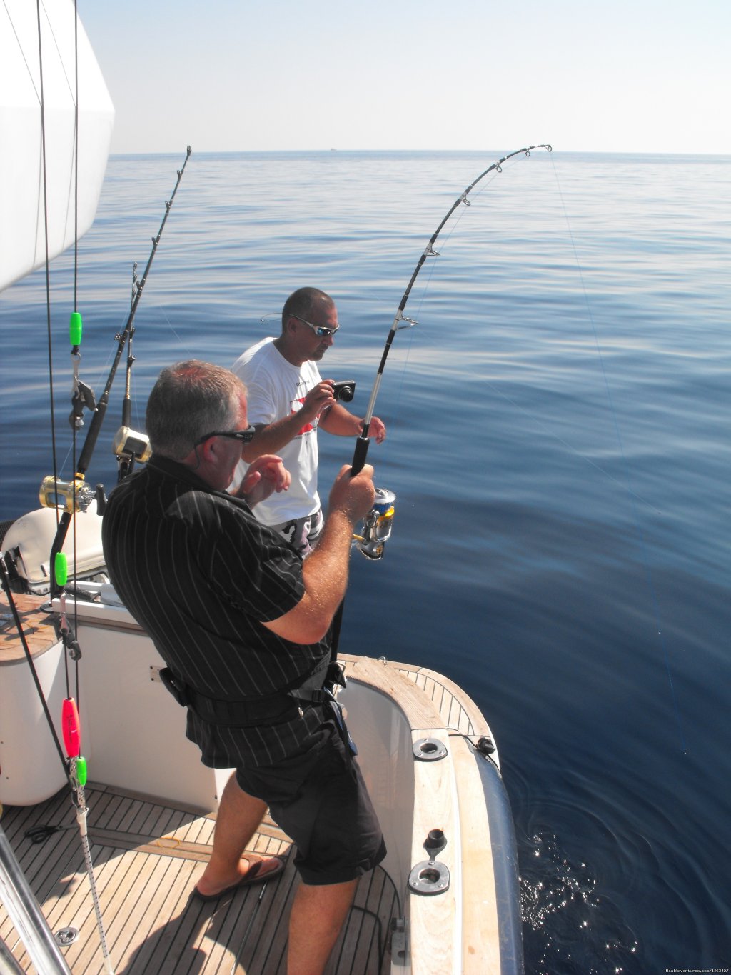 Catch Tunas and Swordfish in the Adriatic Sea | Image #4/23 | 