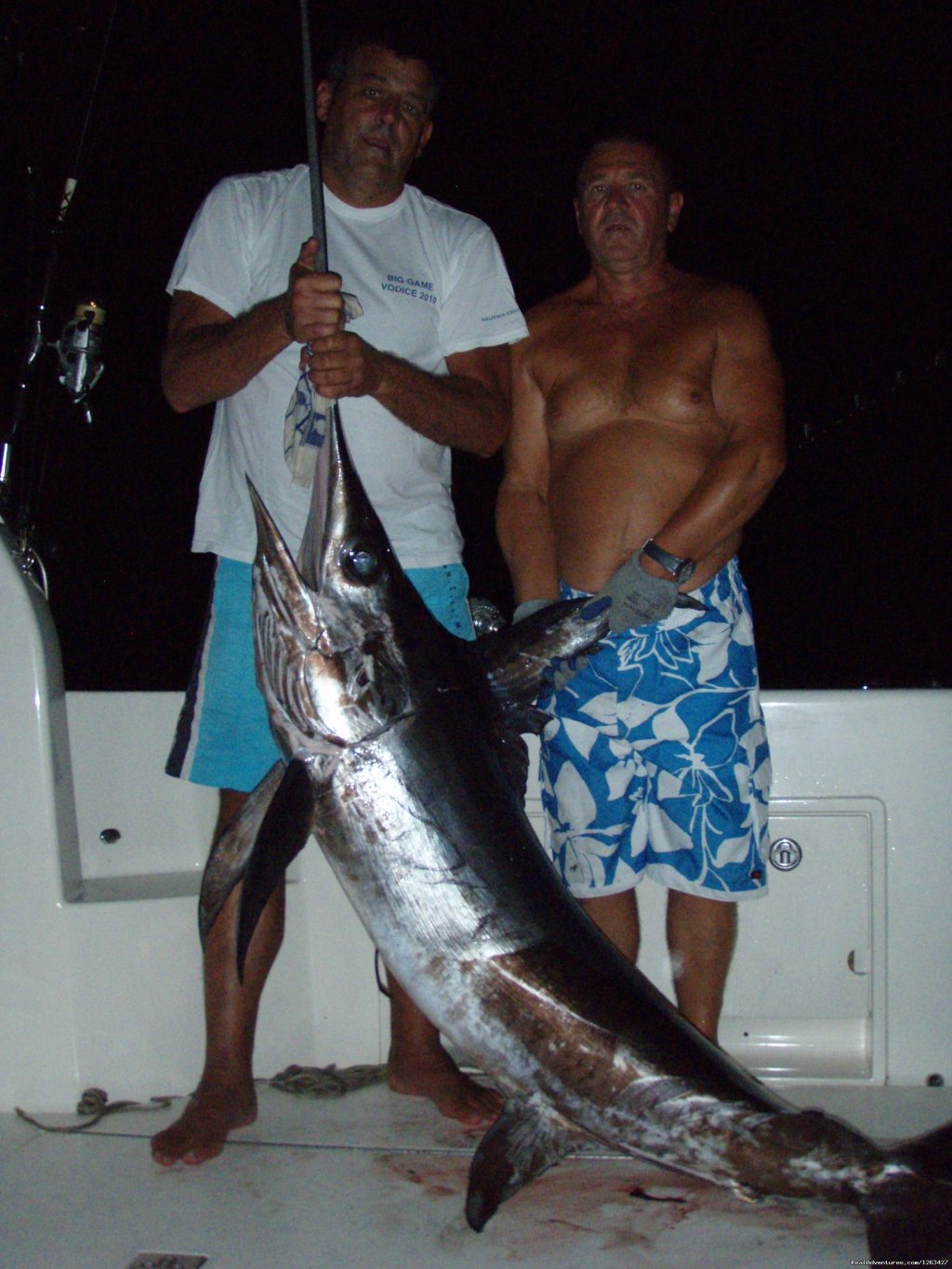 Catch Tunas and Swordfish in the Adriatic Sea | Image #12/23 | 