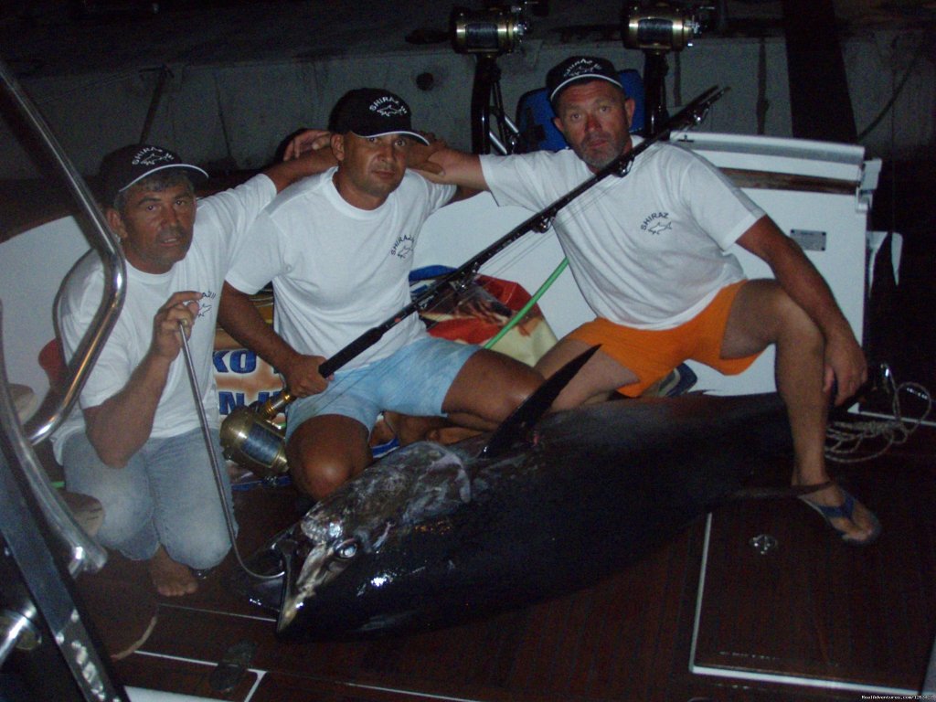 Catch Tunas and Swordfish in the Adriatic Sea | Image #14/23 | 