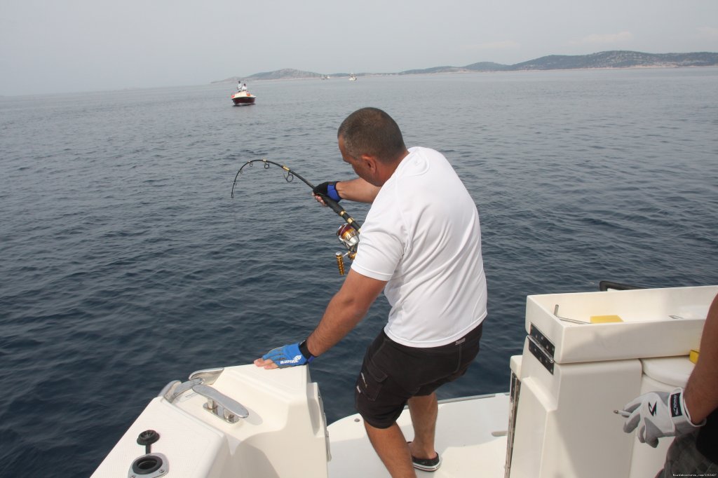 Catch Tunas and Swordfish in the Adriatic Sea | Image #15/23 | 