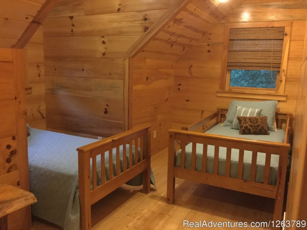 Luxury Cabin on Beautiful Mt Stream $199/nightly | Image #12/20 | 