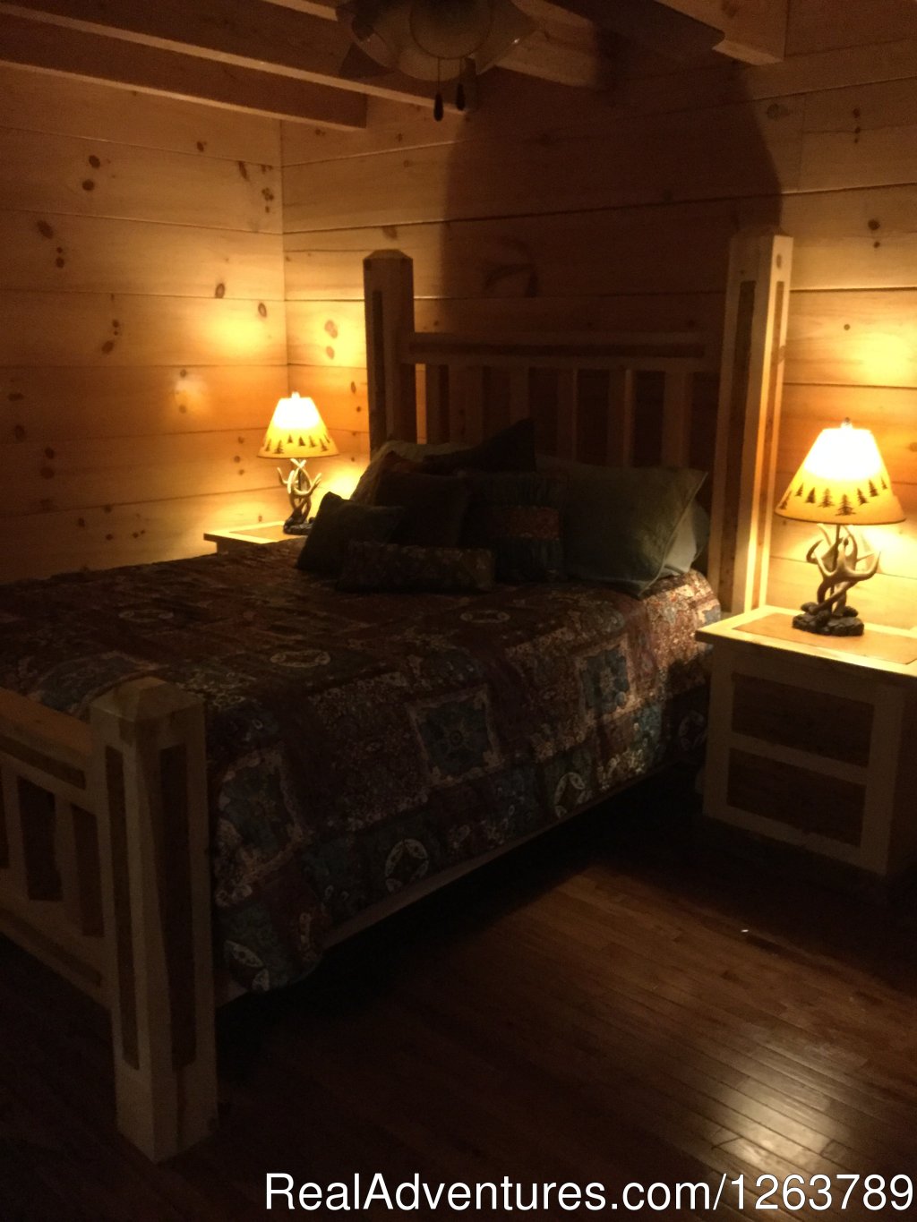 Luxury Cabin on Beautiful Mt Stream $199/nightly | Image #19/20 | 