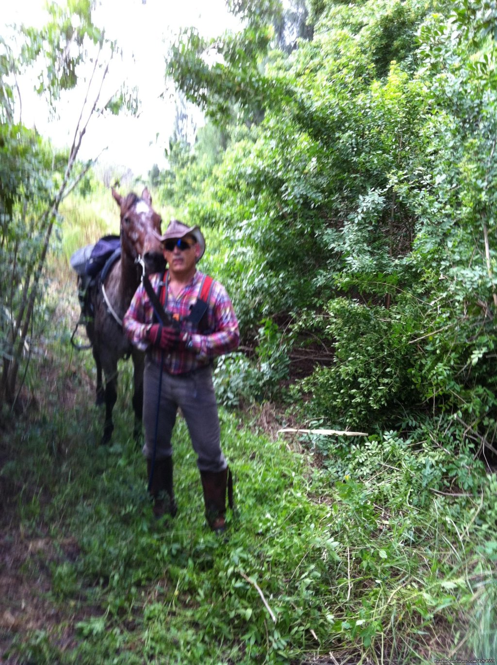 Ernie And Kiowa Take A Trail Break | Just Horsin' Around Ranch | Boynton Beach, Florida  | Horseback Riding & Dude Ranches | Image #1/7 | 