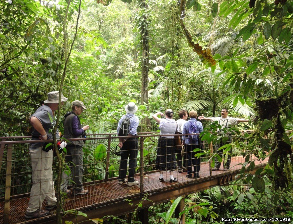 With Naturalist Guide at Arenal Hanging Bridges | Costa Rica Variety Tour | Image #2/4 | 