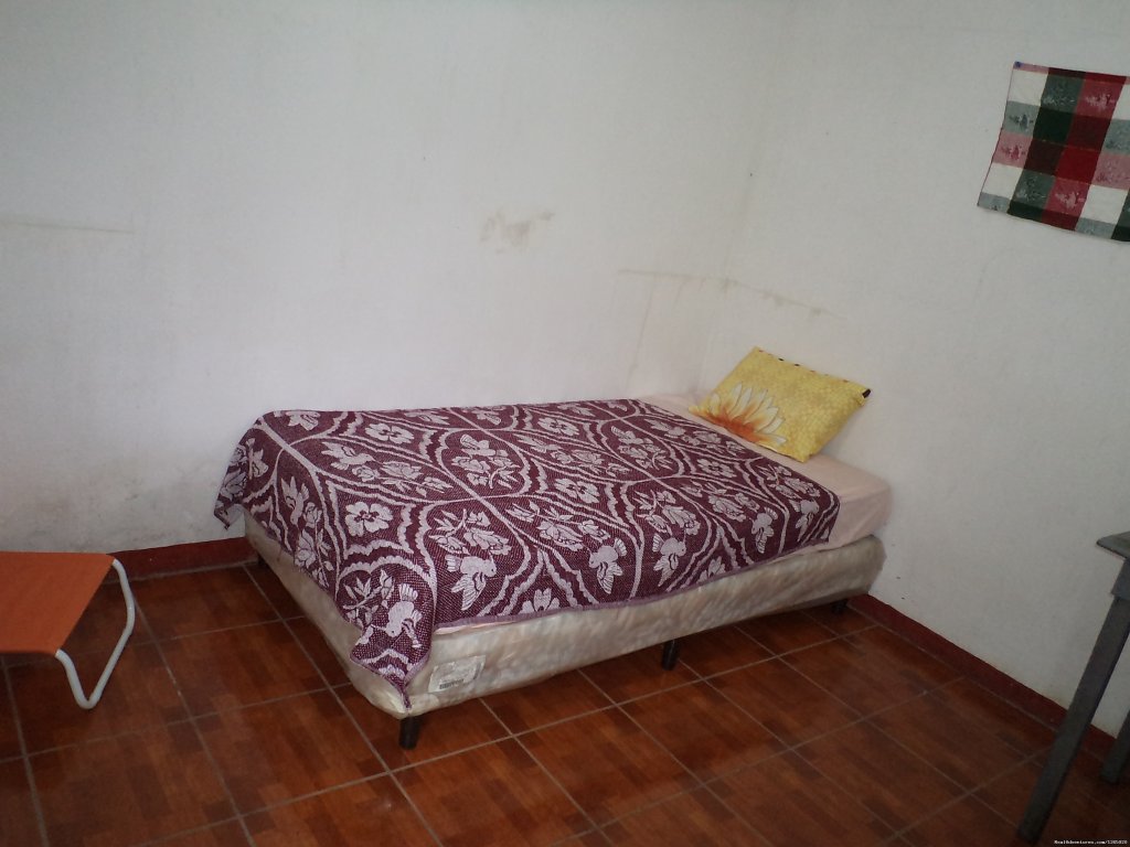 Hostel Miguel Bed And Breakfast | Image #2/18 | 