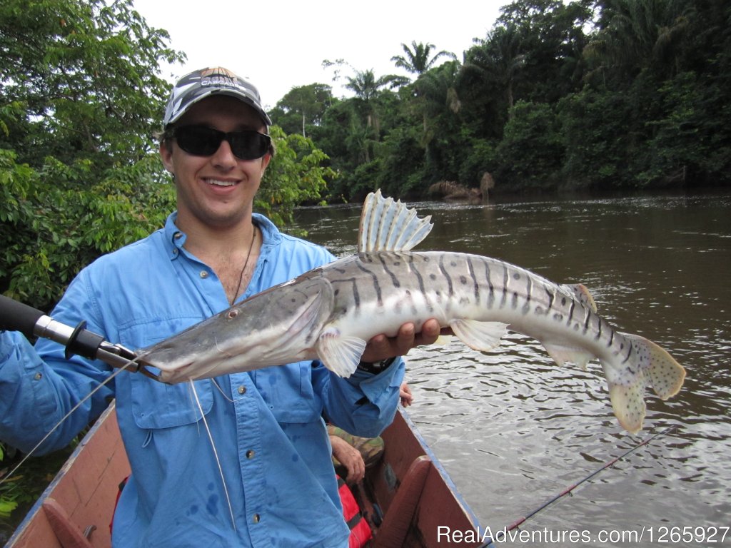 Fishing On Bass, Tarpon, Redtail, Shuffelnose And More... | Suriname, a melting pot of cultures 12 days | Image #5/8 | 