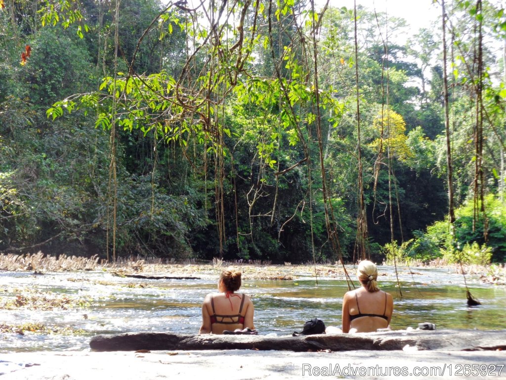 Panaroma View To The Jungle, Relax And Enjoy | Suriname, a melting pot of cultures 12 days | Image #8/8 | 