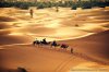 Morocco Tours | Desert Tours from Marrakech | Marakech, Morocco