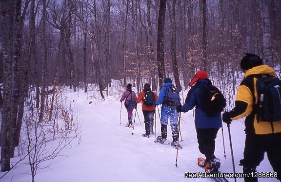 Winter Snowshoing | AdventureTours in NJ | Parsippany , New Jersey  | Sight-Seeing Tours | Image #1/2 | 