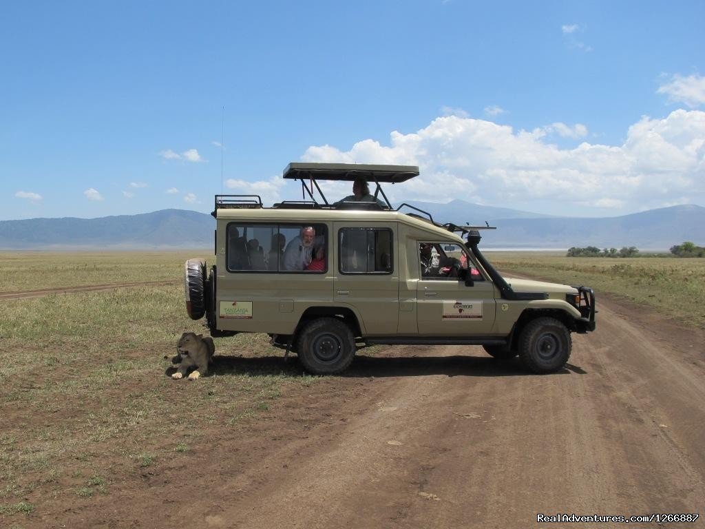 Gosheni Adventures 4 Tanzania Safaris Expeditions | Image #2/2 | 