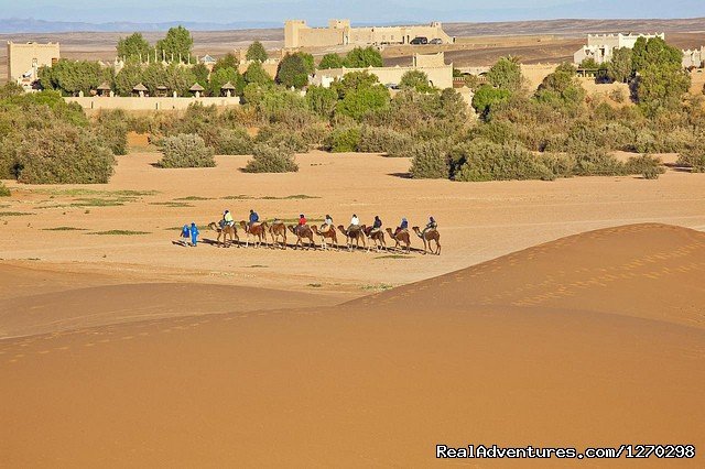 Camel Trekking | Best Of Morocco Holidays | Image #2/16 | 