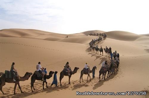 Follow The Caravan | Best Of Morocco Holidays | Image #3/16 | 