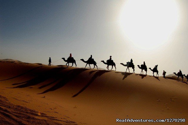 Camel Trekking With Sunrise | Best Of Morocco Holidays | Image #5/16 | 