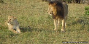 Trekkr Africa'Wildlife and Cultural Safaris'