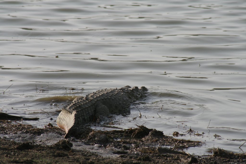 Ranthambore Adventure Tour | Image #2/14 | 