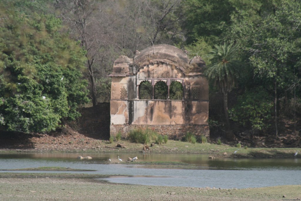 Ranthambore Adventure Tour | Image #4/14 | 