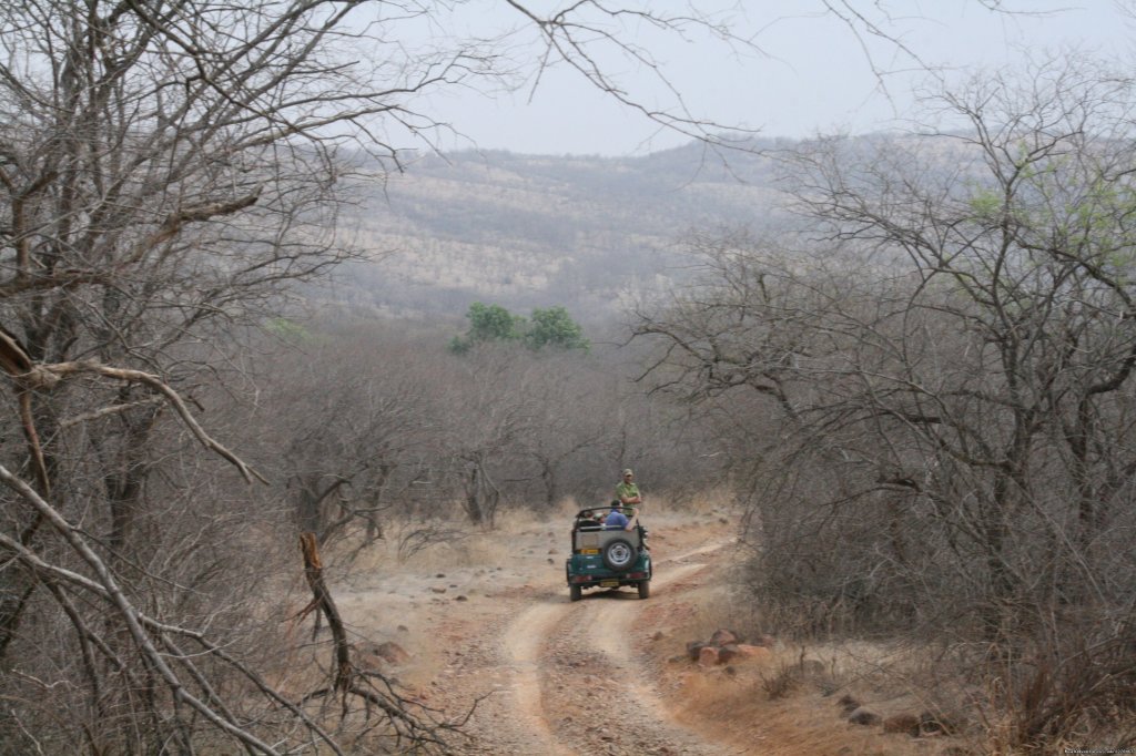 Ranthambore Adventure Tour | Image #13/14 | 