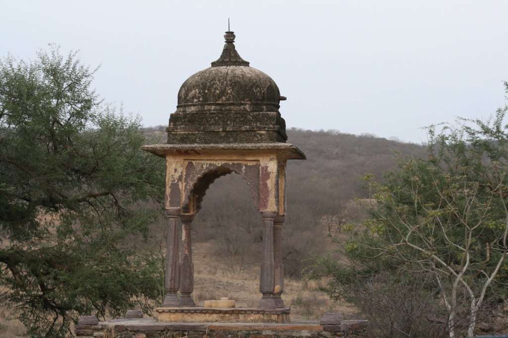 Ranthambore Adventure Tour | Image #5/14 | 