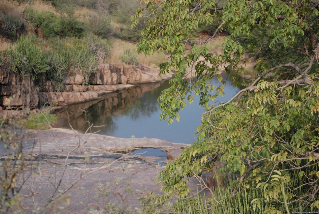 Ranthambore Adventure Tour | Image #7/14 | 