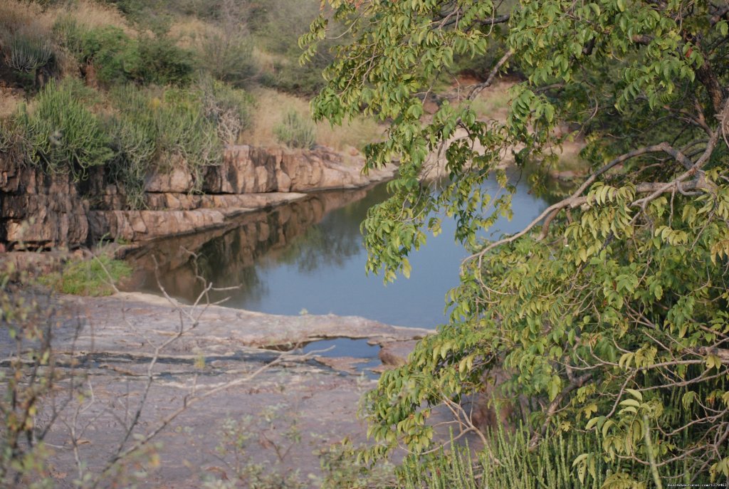 Ranthambore Adventure Tour | Image #7/14 | 