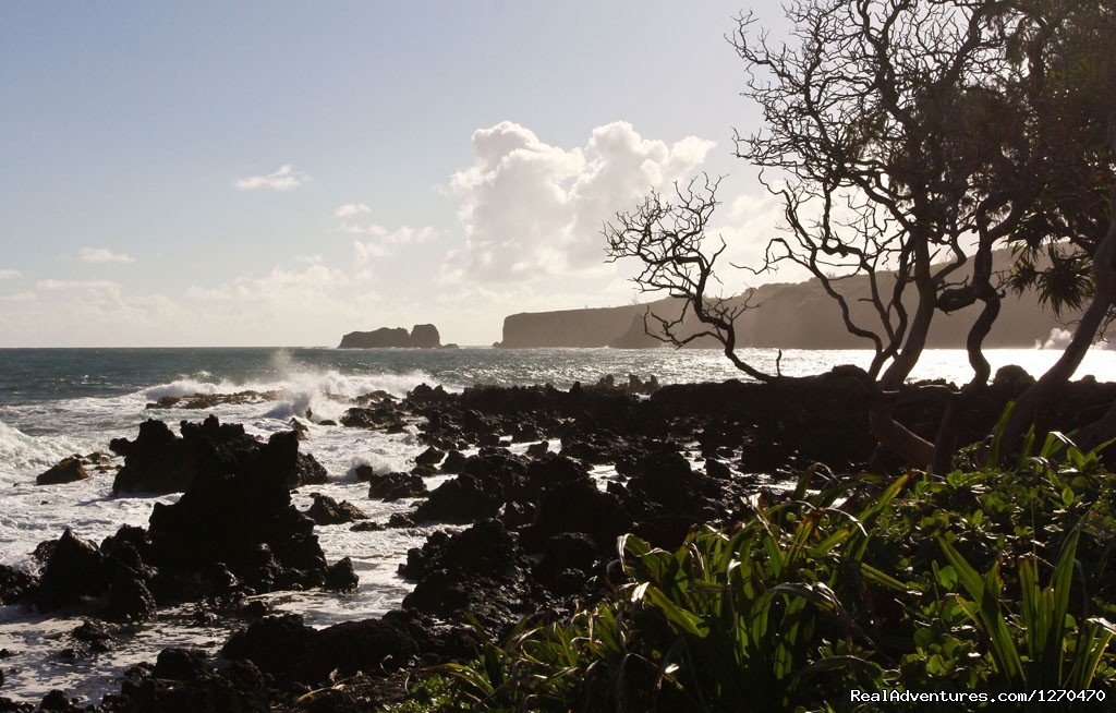 View from Keanae Peninsula | Road to Hana Tour on Maui Hawaii | Wailuku, Hawaii  | Sight-Seeing Tours | Image #1/4 | 