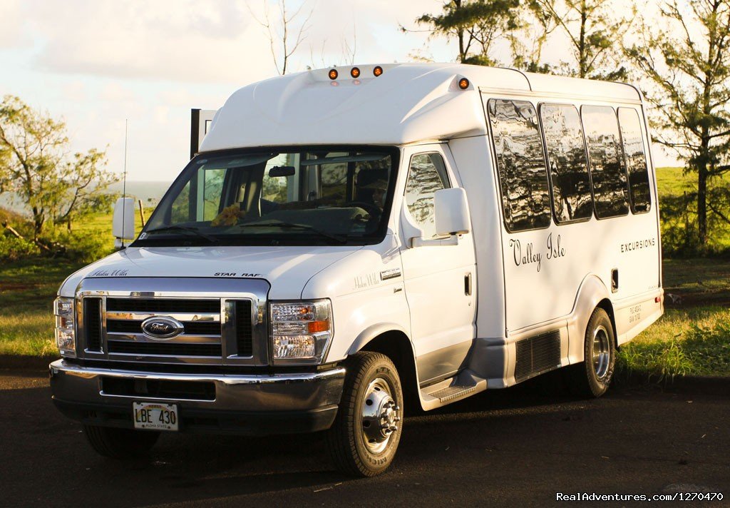 Custom Cruiser Vans | Road to Hana Tour on Maui Hawaii | Image #4/4 | 