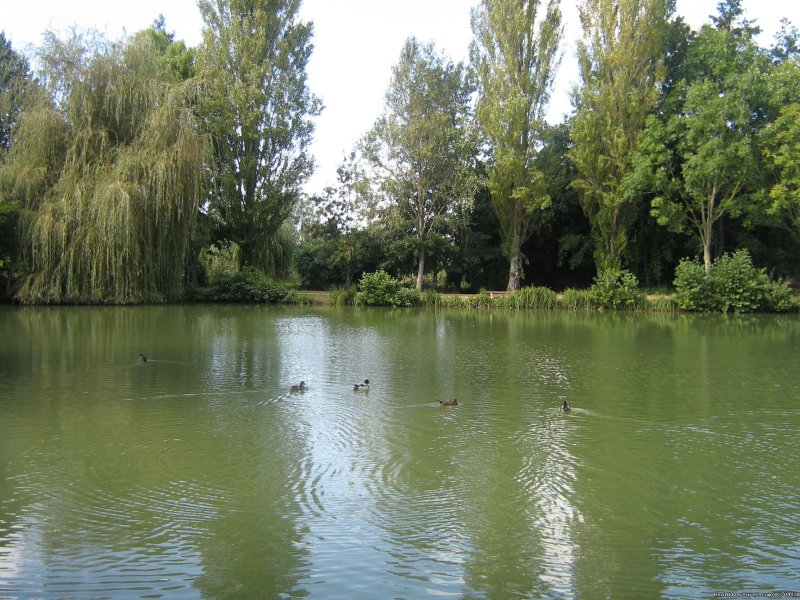 Fishing lake in Lezay (2 kms from us) | Warm irish welcime in rural France | Image #7/16 | 