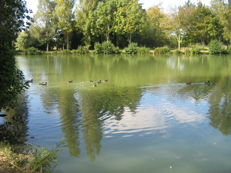 Ducks On The Village Lake | Warm irish welcime in rural France | Image #14/16 | 