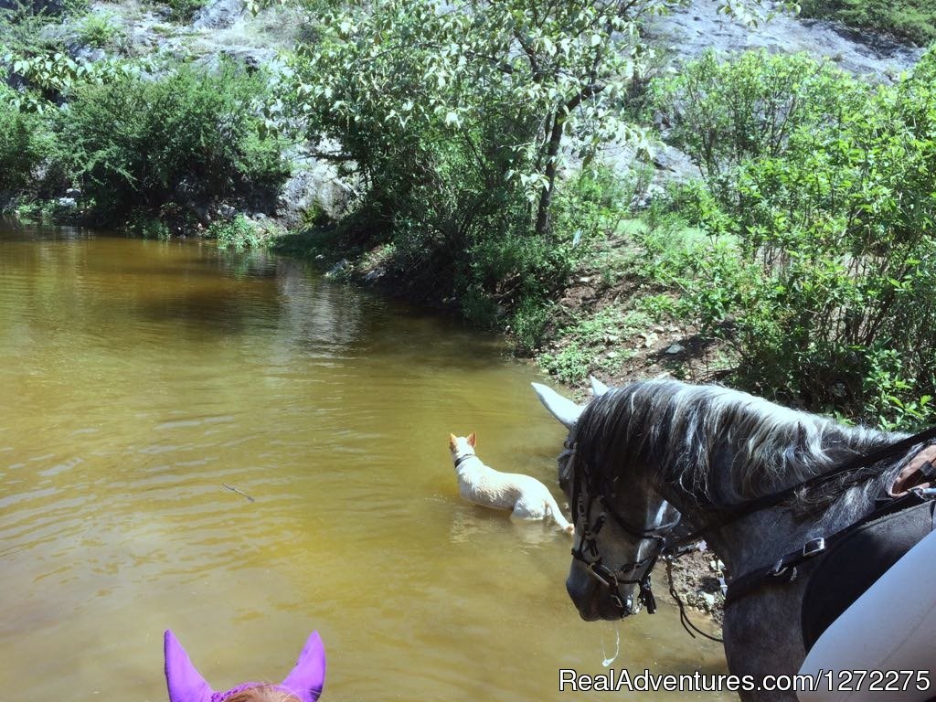 Natural Springs | Oaxaca Adventure Stay | Image #20/20 | 