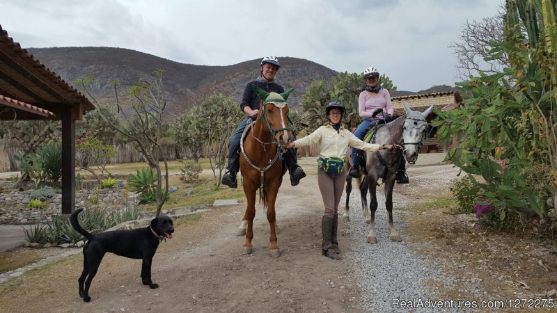 Back At The Ranch | Oaxaca Adventure Stay | Image #10/20 | 
