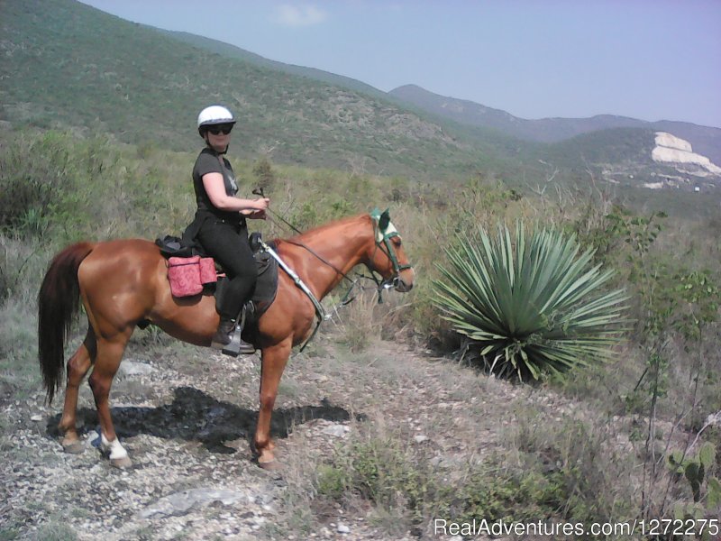 Exotic agave on trail | Oaxaca Adventure Stay | Image #13/20 | 