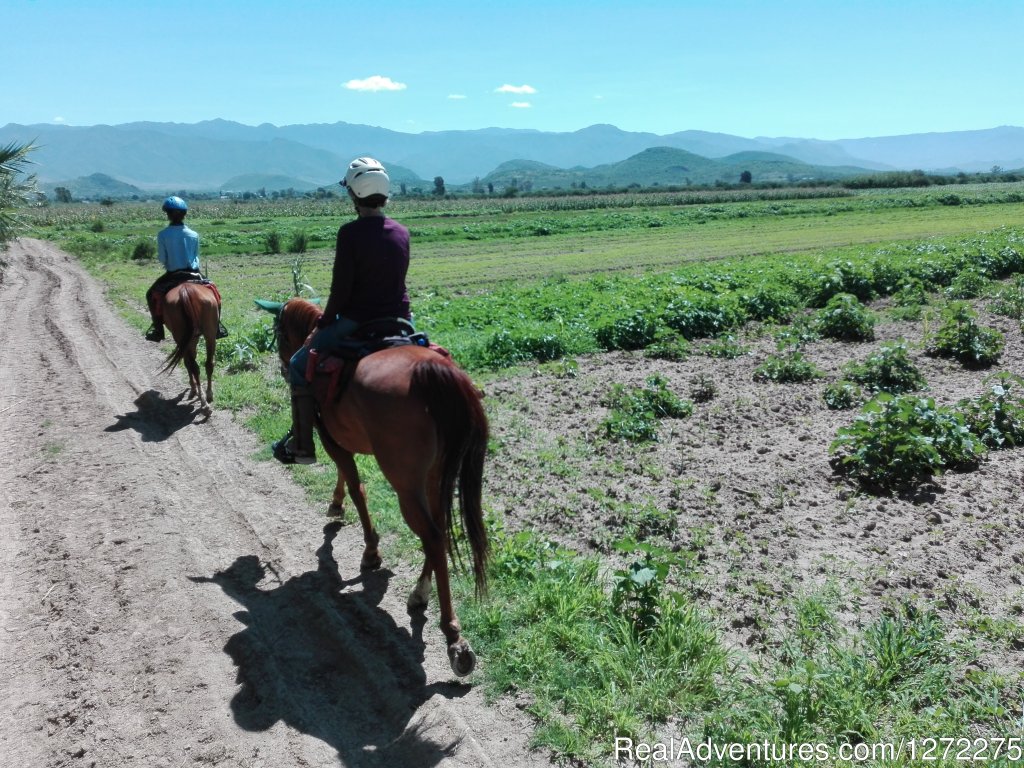 Farmland Views | Oaxaca Adventure Stay | Image #4/20 | 