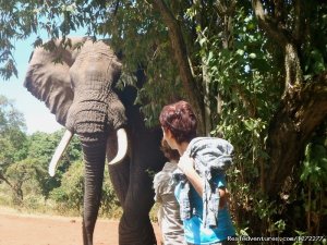 East African safaris Expart | Hiking & Trekking Arusha, Algeria | Hiking & Trekking Algeria