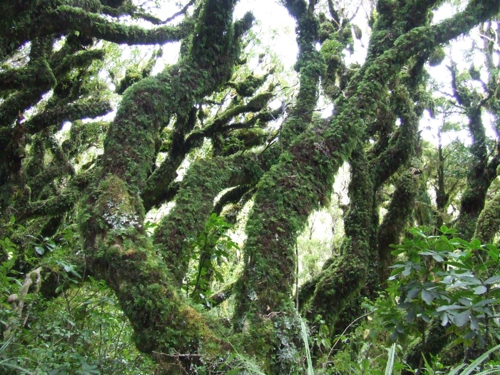 Mt Taranaki Guided Tours | Image #4/4 | 