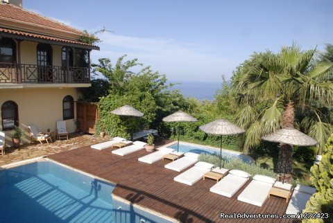 Out door pool and Jacuzzi at Mandarin Boutique Hotel