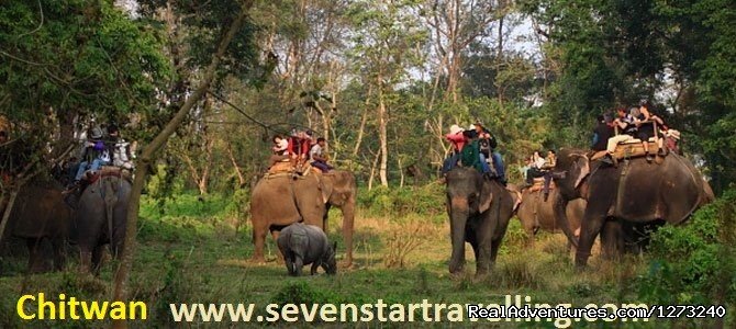 Wildlife safari in Nepal | Nepal Travel | Thamel, Nepal | Wildlife & Safari Tours | Image #1/1 | 
